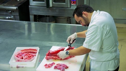 What to Do With Puerto Rico’s Invasive Iguanas? Eat Them