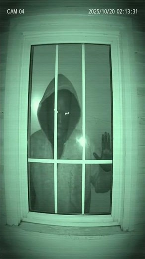 Horror Scene on Window #horror#scary#creepy