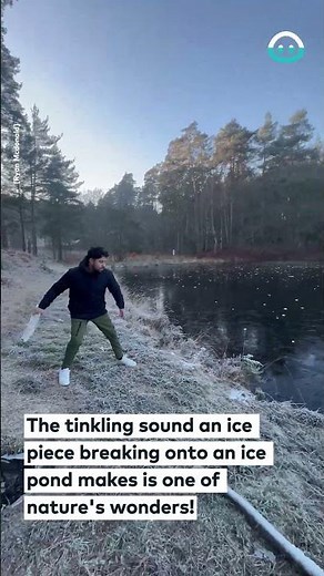 Ice Smash Satisfying Sound || ViralHog