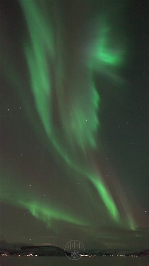 Good night with a relaxing northern lights real time video! | Polar Night Studio Яша