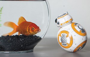 The Star Wars Sphero BB-8 Droid is coming to Windows Phone users after all