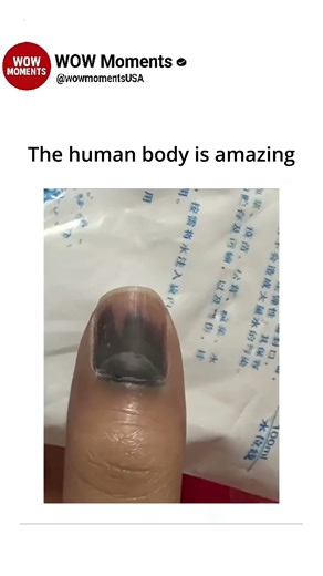 The human body is amazing