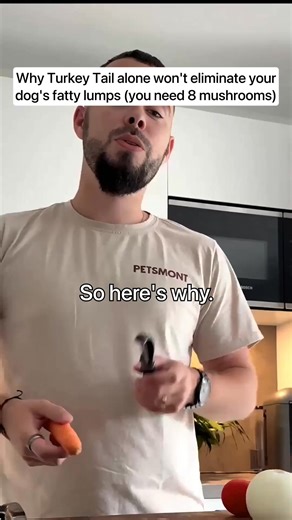 If your dog has lumps on or under their skin, you can help get rid of them in weeks with just a regular bowl of food. Buddy Guard is a powerful mushroom powder that helps your dog (or cat) fight off these lumps and bumps so they disappear and never come back. | Leo from Petsmont