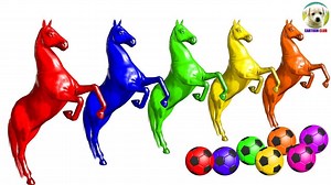 215K views · 3.1K reactions | Learn Colors with Horse and Soccer Ball Colorful for Children - Learn Animal for Kids #Learncolors #FingerFamily #KidsSongs #Animalforkids #colorforKids Group Learn Colors: https://www.facebook.com/groups/206746453756013 <3 <3 <3 | Learn Colors With Animal | Facebook