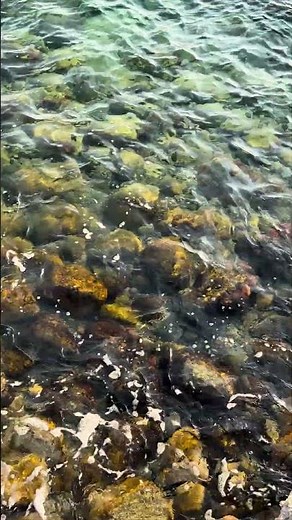 Sea Waves for Sleep 🌊 Crystal Clear Sea | Relaxing Sea Sounds | White Noise | 4K #shorts