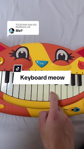 Keyboard Cat Meme Compilation