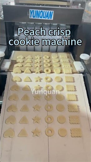 if you need it, you can contact me #cookie making machine #pastry machine #walnut#automatic