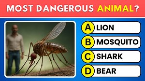 87K views · 1.5K reactions | 30 Mixed General Knowledge Questions to Sharpen Your Mind  #generalknowledgequiz #mixedknowledge #quizfun | Wisdom Time | Facebook