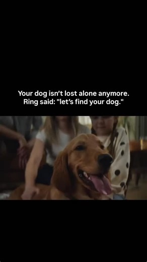 Algorithm Cleaner 🫡 | Lost pet. Whole neighborhood activated. This is technology done right 🐾 Be a hero in your neighborhood with Search Party from Ring"... | Instagram
