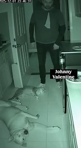 When you’re both grounded but the hunger wins | Johnny Valentine