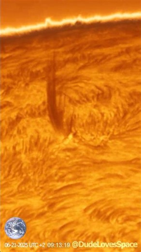 Filament Eruptions! The Sun's Surface Through My Solar Telescope #sun #space #solarsystem