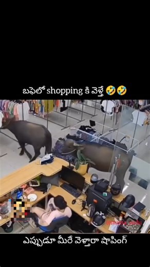 Shiva on Instagram: "బర్రెలు shopping కి వెళ్ళడం. . . . Follow me:@mama_sudu . . . #2025 #lifestyle #life #instareel #real #funny"