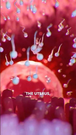 Passing through the cervix