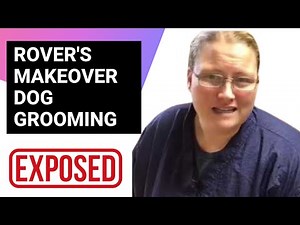How Much Money Rover's Makeover Dog Grooming Makes On Youtube | Husky | Ear Cleaning | Cat 2021