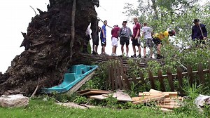 The tree was a place bald eagles would roost and a muskrat lived at the base of the tree, but now they will need to find new homes. A Forest Lake family will miss this giant tree in their backyard taken by recent storms and they thank the community for coming out to help them with its removal. Photojournalist Ben Garvin went to check out the tree after photos were posted on KARE's Facebook page. Full story: http://kare11.tv/2unFFMG | KARE 11