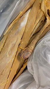 74K views · 741 reactions | Meet the muscle that moves the testicles 欄 Hey guys - want to answer Jonathan's question in the comments - can you control this muscle??  | Institute of Human Anatomy | Facebook