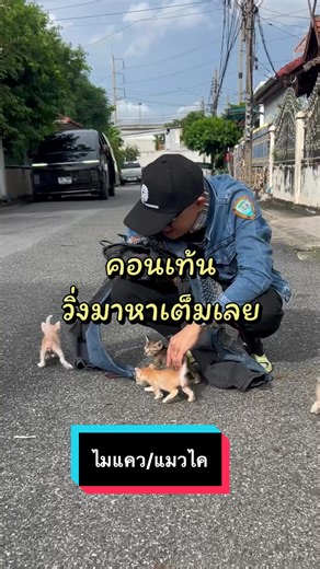 #ติ๊กชีโร่ #Tikshiro #จีโนม #Genome #แมว