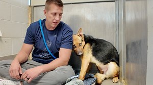 3M views · 66K reactions | Watch his reaction when he’s told he’s a GOOD BOY for the first time 凉 | Rocky Kanaka | Facebook