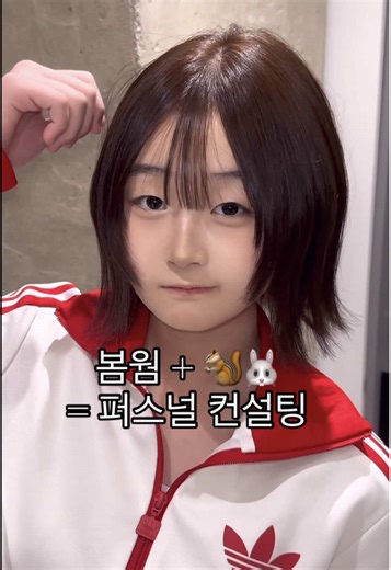 봄웜 토끼에 맞춘 헤어 컨설팅 서비스