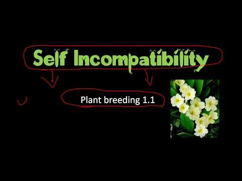 Self incompatibility in plants and significance in plant breeding