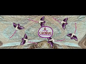 EMMA TALBOT: CHORUS | CIRCA