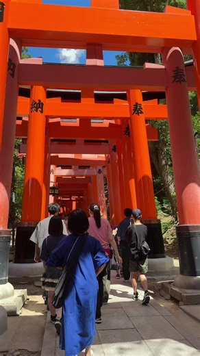 Exploring the Wonders of Kyoto