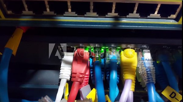 Close-up footage of a UTP network cable being plugged into a router switch port with green LED indicators blinking, showing active data connection and modern networking infrastructure.