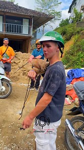 2.3M views · 60K reactions | When it comes to travel pets, most...