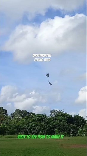 Ornithopter | DIY Flying Bird