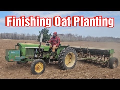 Finishing Up Planting Oats 2026/Hoof Trimming The Herd