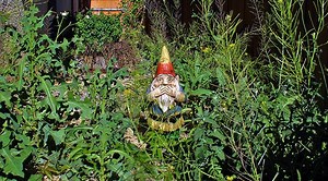 41K views · 138 reactions | This gnome raid uncovered a shocking meth ring. | Investigation Discovery | Facebook