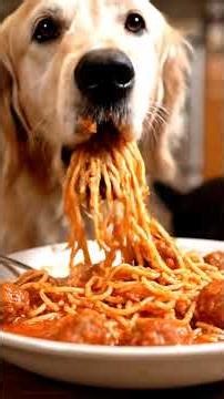 Golden Retriever vs Black Lab Who Eats Faster