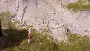 11K views · 384 reactions | A HO Gauge Man doing a wee at the Keszthely Modellvasút. For the full video please see Henry's Adventures the YouTube channel. https://youtu.be/t20hou-aiUM?si=N2nP1VLzW23fj9XJ | Henry's Adventures | Facebook