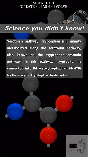 Tryptophan Metabolism simplified
