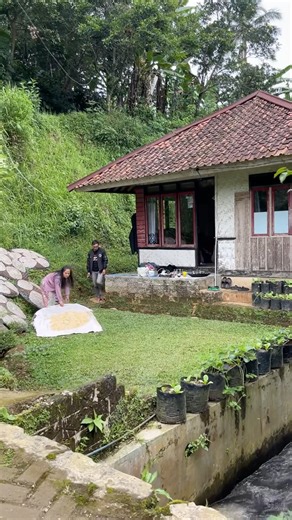 beautiful house by the river