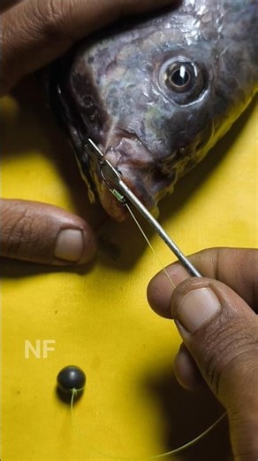 Tutorial on how to easily remove fishing hooks #shorts #fishing #tutorial