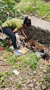 3.8M views · 45K reactions | ह्या सापाला तुम्ही कधी पाहीलेय का?  Sarpmitra Nita Gajare #snake #FBVIDEO #OMG #viralvideoシ #girlpower #fbpost #maharashtra #animals #girls #reptiles #wildlife #rescue #videos #viralvideo #viralfb #post #fb #pune | Sarpmitra Nita Gajare | Facebook