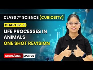 Life Processes in Animals - One Shot Revision | Ch 9 | Class 7 Science Curiosity | CBSE 2025-26
