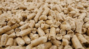 Pellets compressed organic matter or biomass. Ecological heating, renewable energy