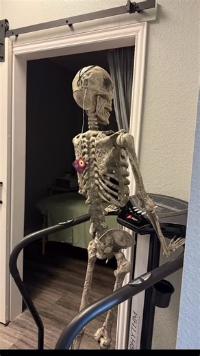 Even the skeletons know the value of whole body vibration for lymphatic support…come love your lymph | Pure Radiant You Wellness Clinic