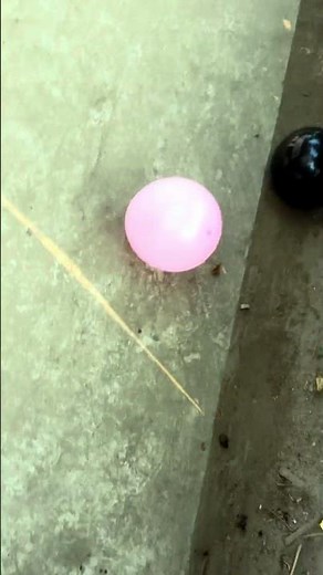 Challenge the staircase obstacle course and pop the colorful balloons. #shorts #experiment