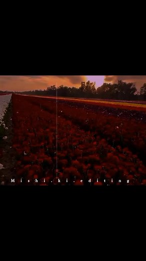 Dhoom Dhaam Lovely Song - Viral Trending Clip