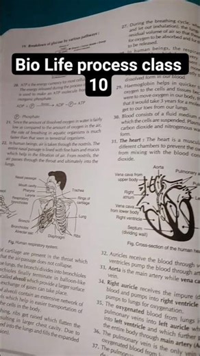 Class 10 Bio chapter 5 Life process #Subscribe for more