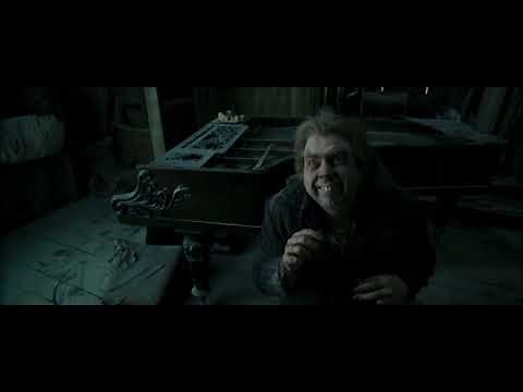 Harry Potter and the Prisoner of Azkaban - Cat, Rat and Dog / The Servant of Lord Voldemort