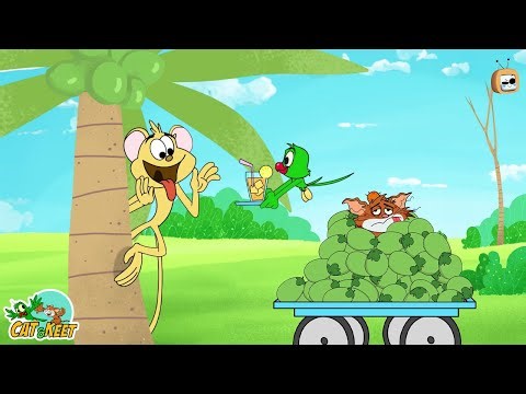 Cat vs. Parrot: The Coconut Tree Battle Begins! 🌴🐱🦜 | cat and keet funny cartoon| chotoonz tv