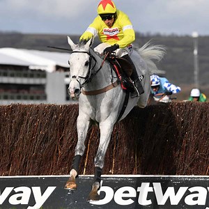 Betway Horse Racing Odds | Which Bet Types are Available and How Do They Work? - Betting Guide
