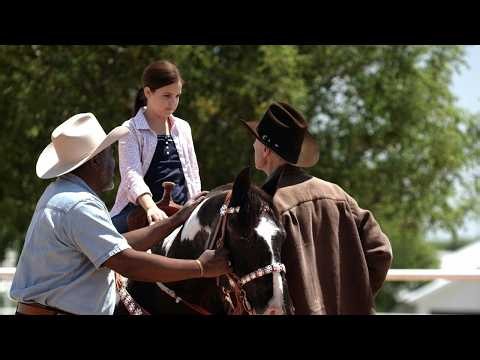 Cowgirls n' Angels | Full Movie Story Explained | Bailee Madison | Alicia Witt
