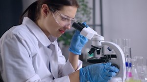 biologisches Labor für Forschung, Frau zeigt: Stockvideos & Filmmaterial (100 % lizenzfrei) 1078021526 | Shutterstock