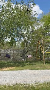 65K views · 2.6K reactions | Nakey time | Our Life Adventures | Facebook