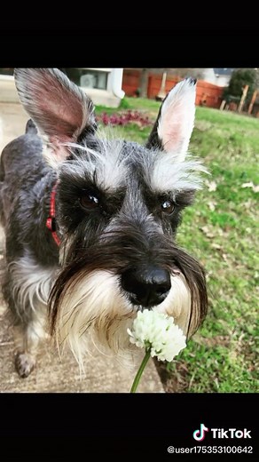 SLR 2021 Calendar Casting Stars